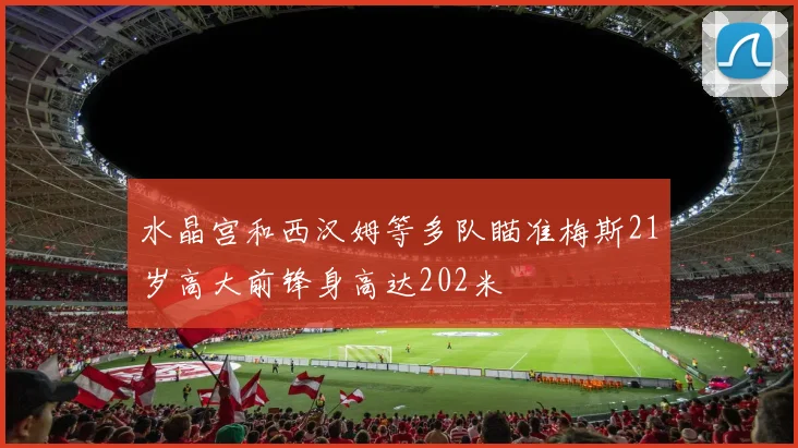 水晶宫和西汉姆等多队瞄准梅斯21岁高大前锋身高达202米